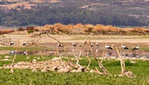 Barajlardaki doluluk oranı kritik seviyede
