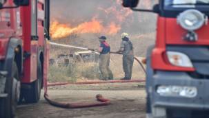 Barınaklarda önlem