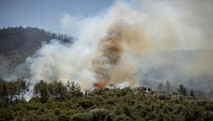 Hem ekolojiyi hem ekonomiyi yaktı