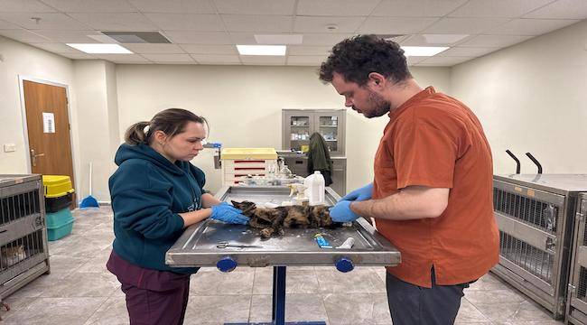 Çörekçi'nin Emanetlerine Büyükşehir Sahip Çıktı