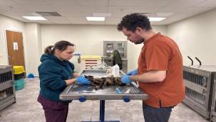 Çörekçi'nin Emanetlerine Büyükşehir Sahip Çıktı