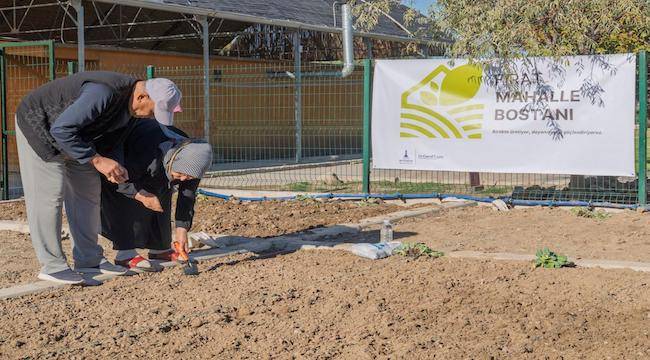 Mahalle bostanlarında kış dikimleri başladı