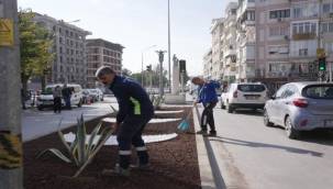 İzmir'in çehresi su tasarruflu bitkilerle güzelleşiyor
