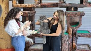 'Mutlu Çocuklar'a hayvan sevgisi eğitimi