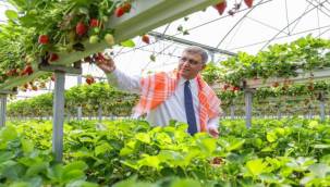 Sofrada adalet için İzmir hamlesi