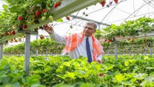 İzmir'in Tarım Master Planı rotasını çizdi